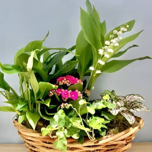 Composition Jardin de Muguet avec plantes et muguet – Papillon Fleuriste Paris