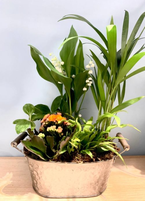 Coupe de Plantes